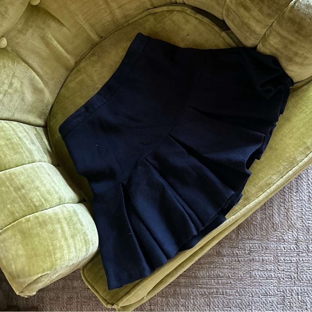 Elegant Black Pleated Skirt